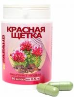 КРАСНАЯ ЩЁТКА. ЭКСТРАКТ КОРНЯ