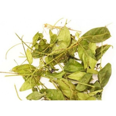 Барвинок малый (лист) Ручной сбор (Респ. Адыгея, Краснодарский край) 50 г.